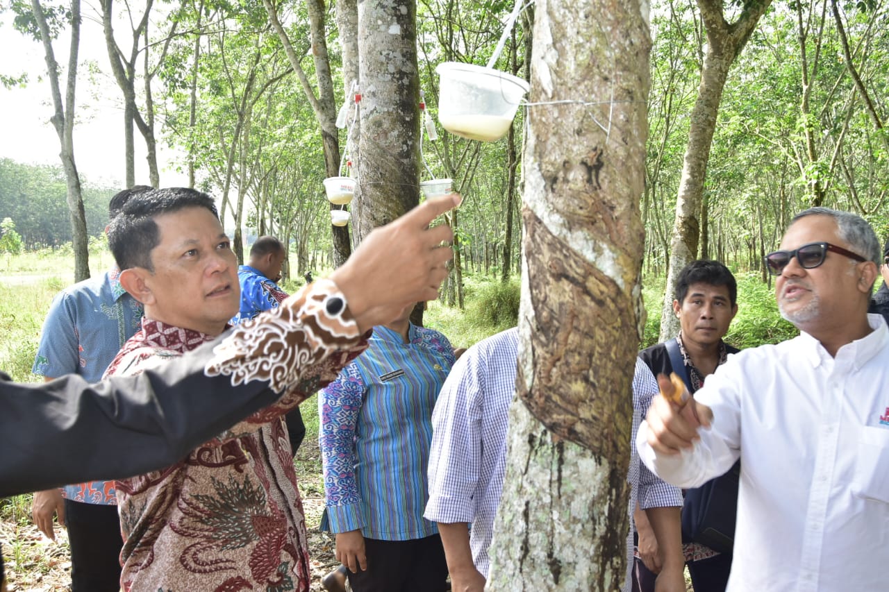 Acting Regent Firsada Directly Inspects Mercu Biotech Group Investment